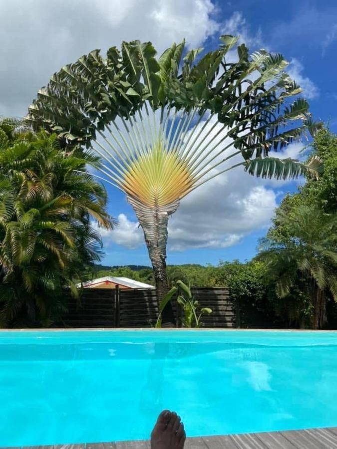 Ferienwohnung Fleur Des Caraibes Sainte-Anne Exterior foto