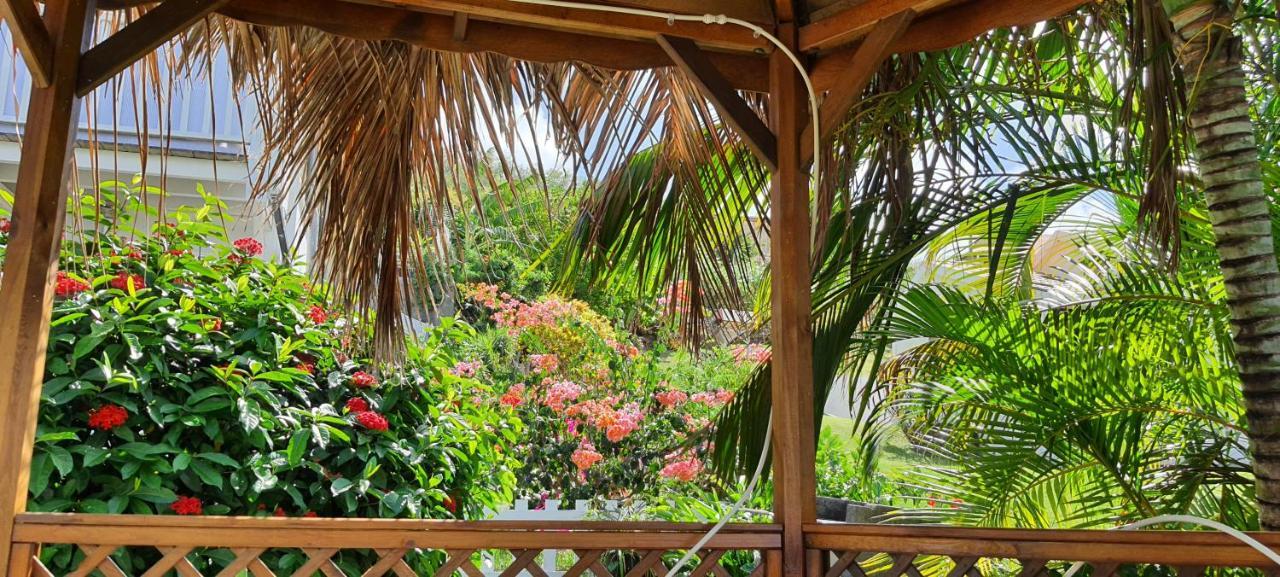 Ferienwohnung Fleur Des Caraibes Sainte-Anne Exterior foto