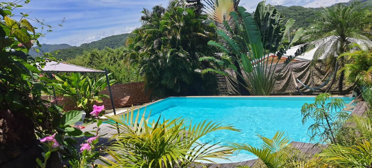 Ferienwohnung Fleur Des Caraibes Sainte-Anne Exterior foto